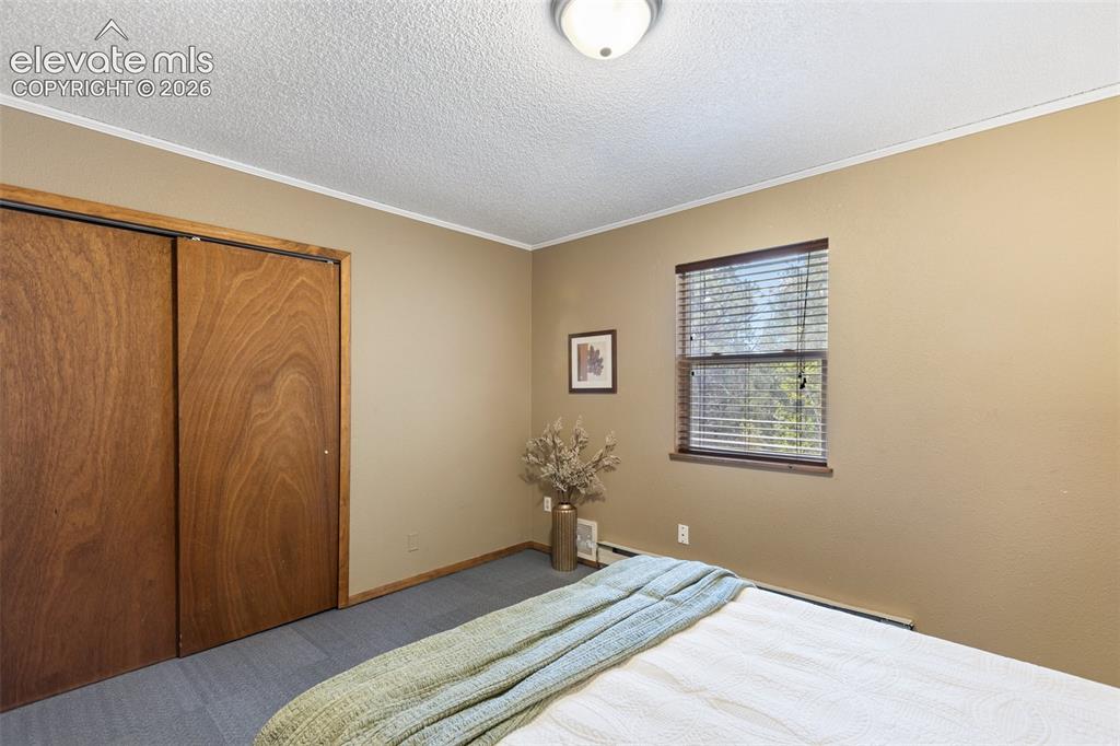 Image 15 of 41: Bedroom featuring a window with wood trim, wood-finish bi-fold closet doors