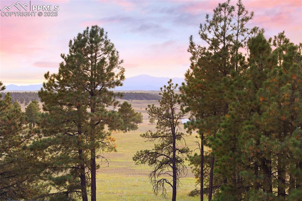 Image 40 of 45: View