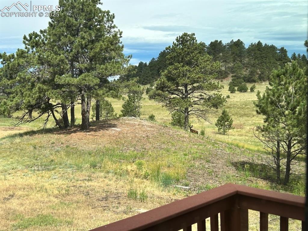 Image 48 of 50: This is your "yard" so much space to breathe and play and relax!