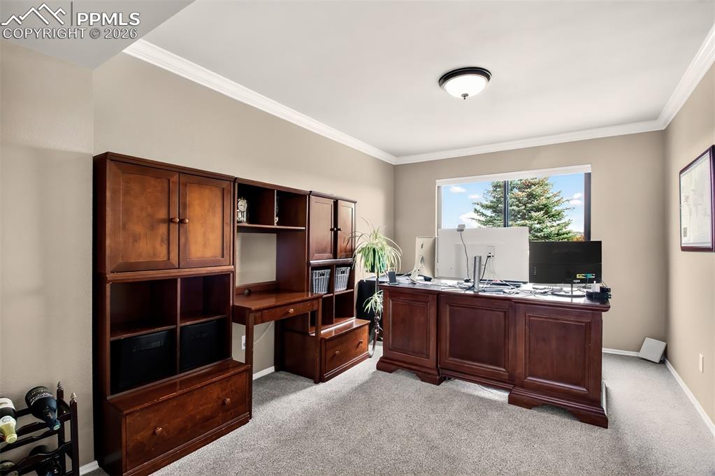 Image 13 of 49: No Description Available