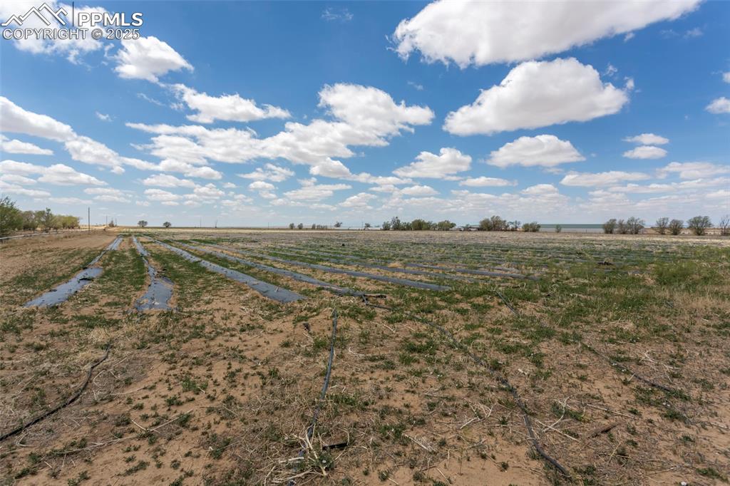 Image 22 of 26: View of yard with a rural view