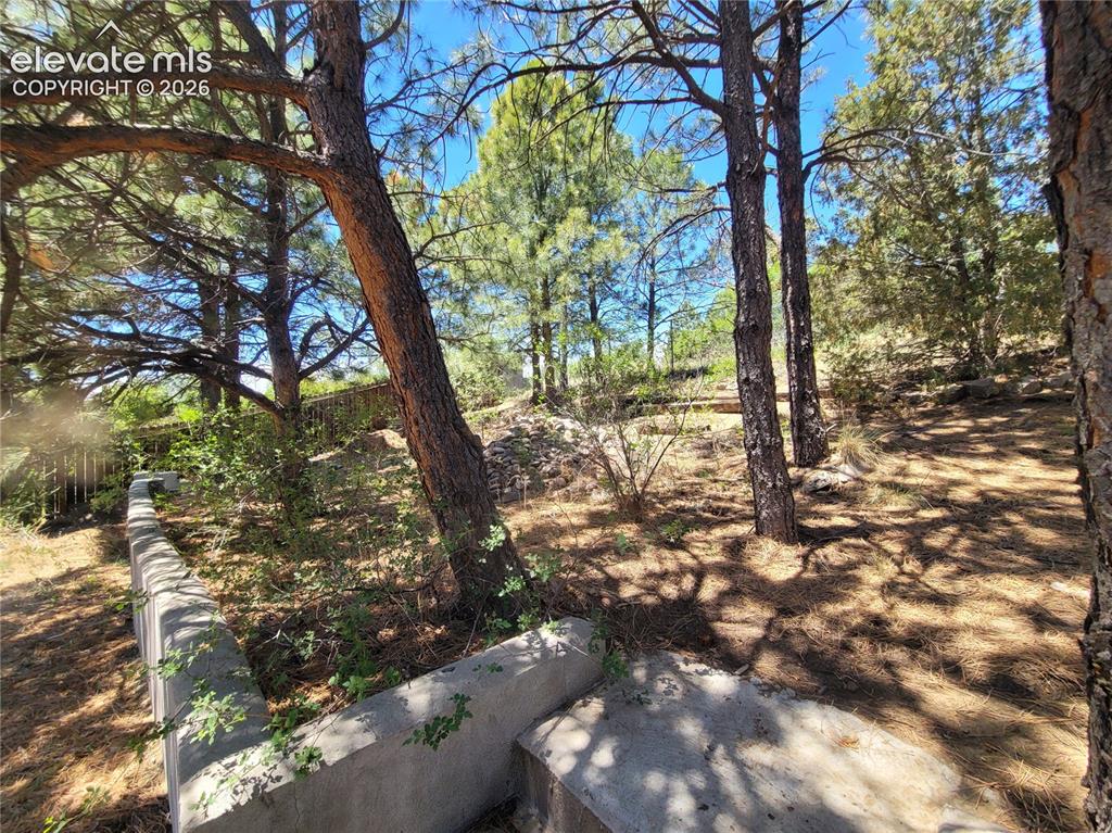 Image 15 of 20: Left side upper tier