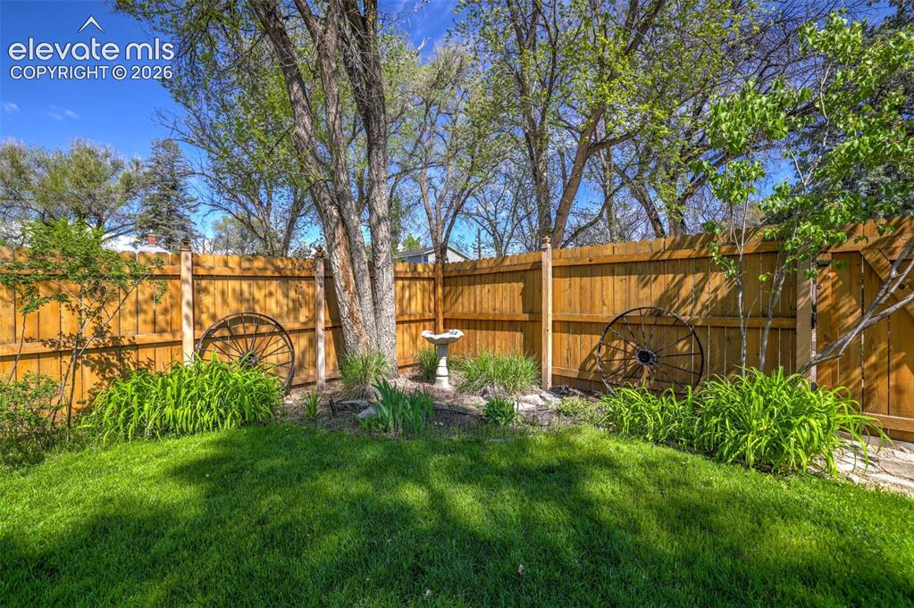 Image 41 of 48: Yard