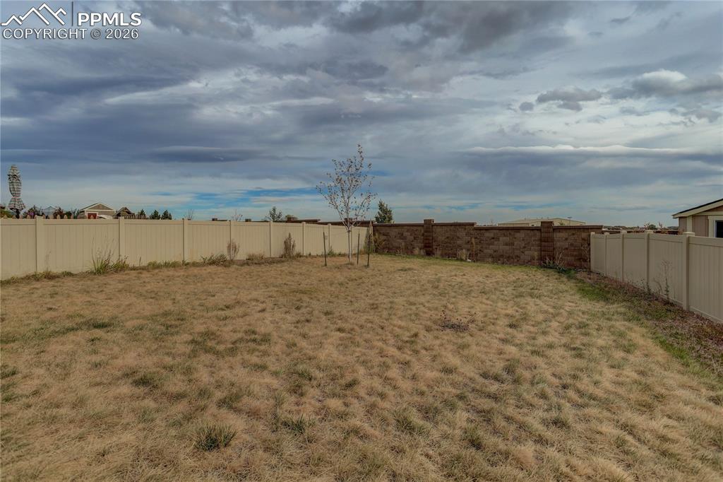 Image 22 of 23: Spacious yard