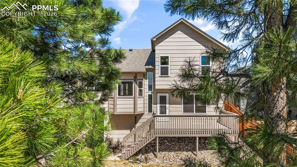 Image 33 of 43: Bedroom with large window for natural light, carpet throughout