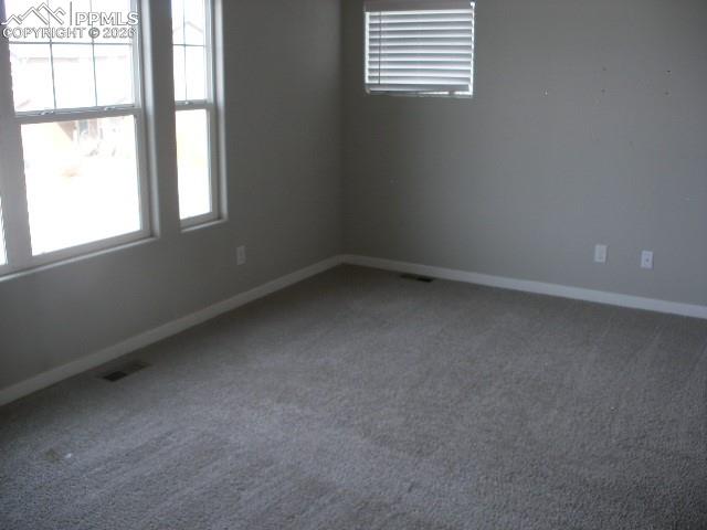 Image 24 of 44: Other