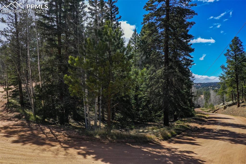 Image 16 of 20: Community