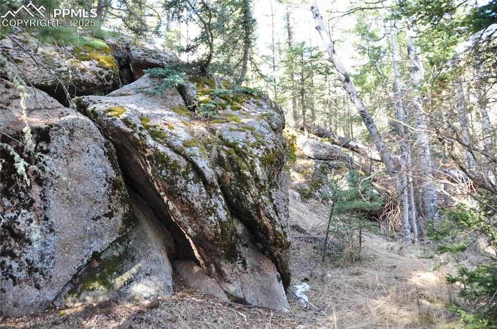 Image 19 of 20: Other