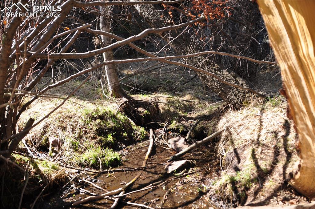 Image 20 of 20: Other