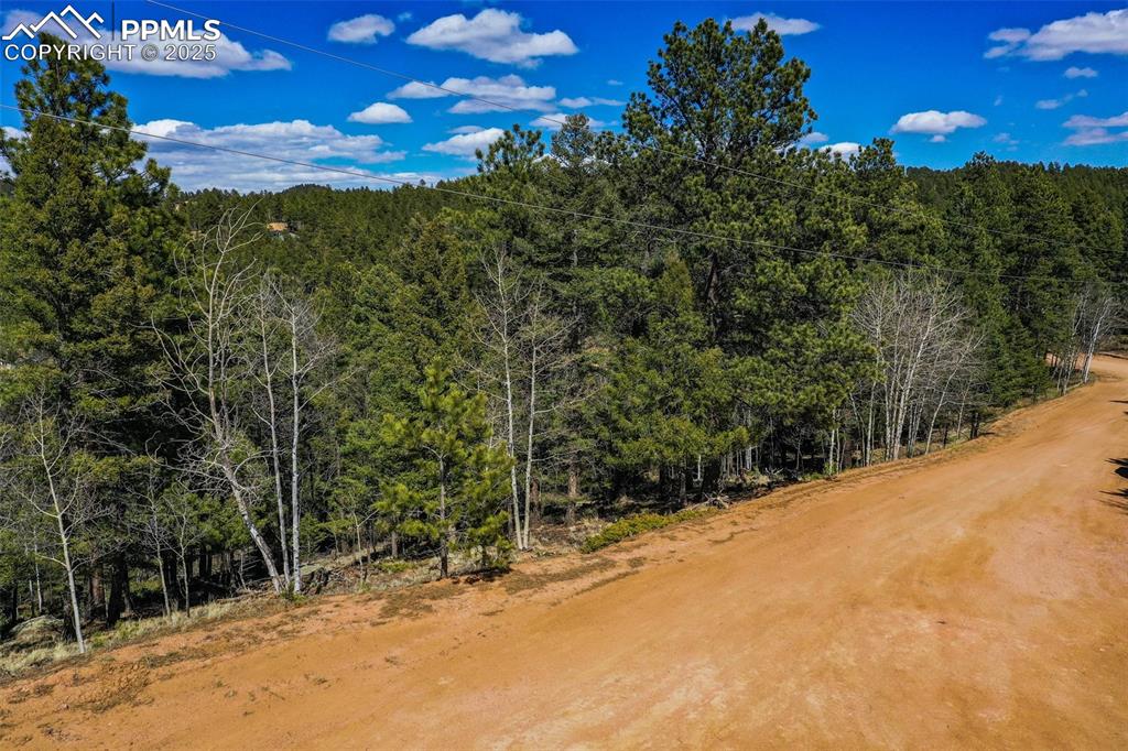 Image 4 of 20: Other