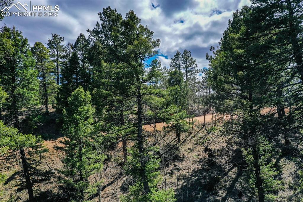 Image 6 of 20: Other