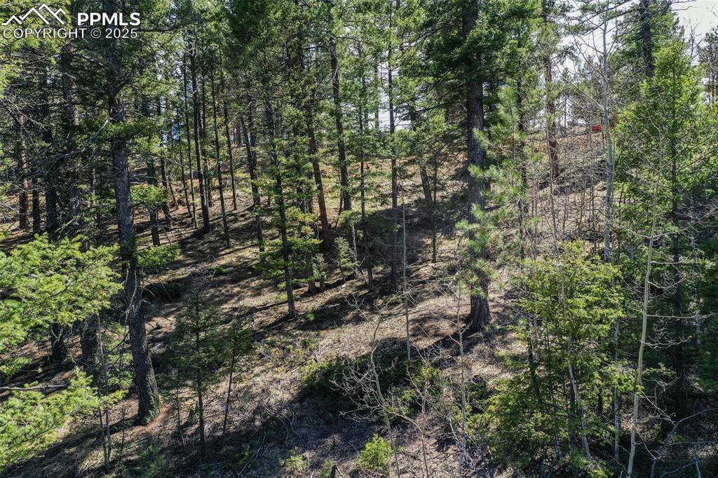 Image 7 of 20: Other