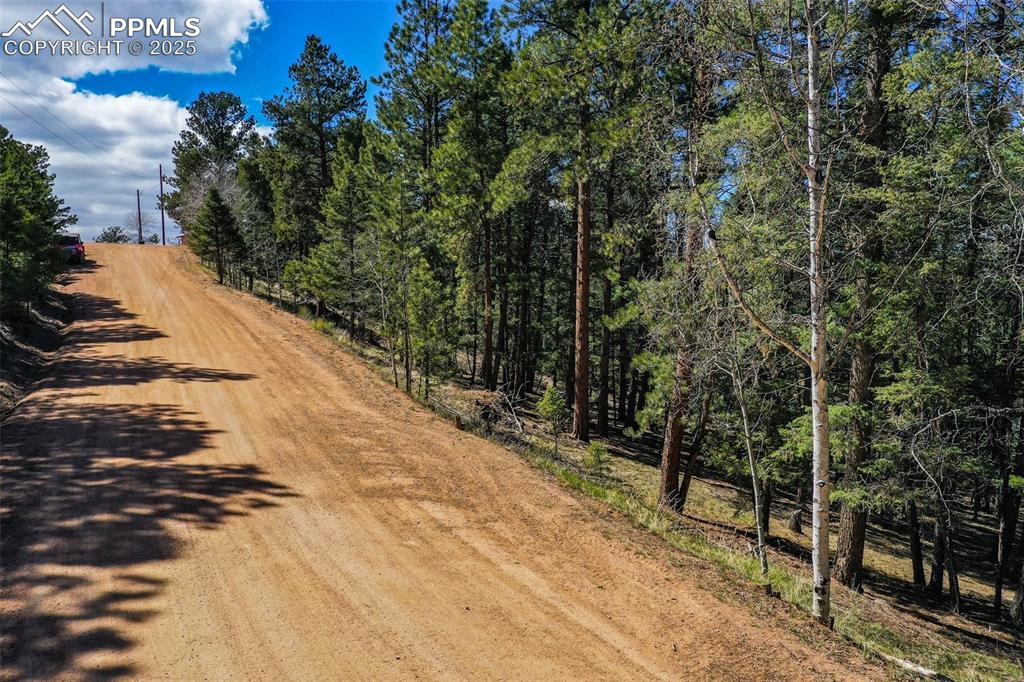 Image 9 of 20: Community