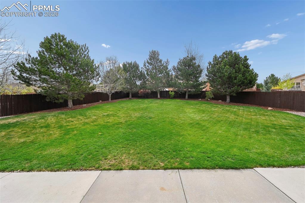 Image 40 of 44: Mature landscaping and open space create a peaceful outdoor setting