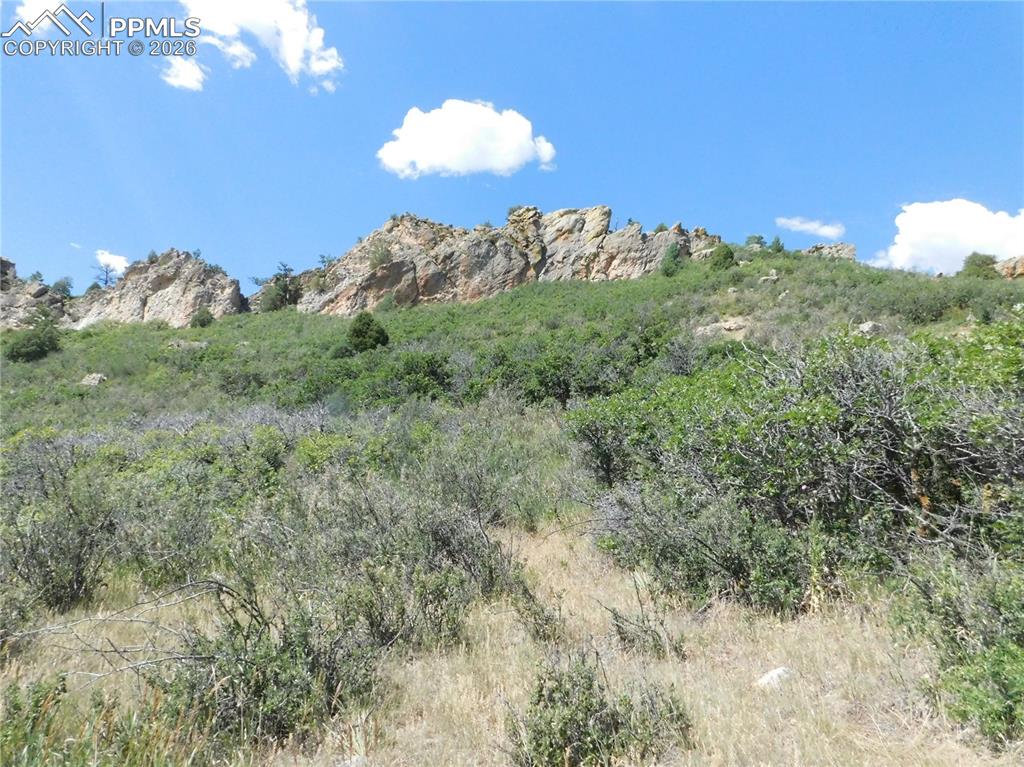 Image 21 of 45: No Description Available