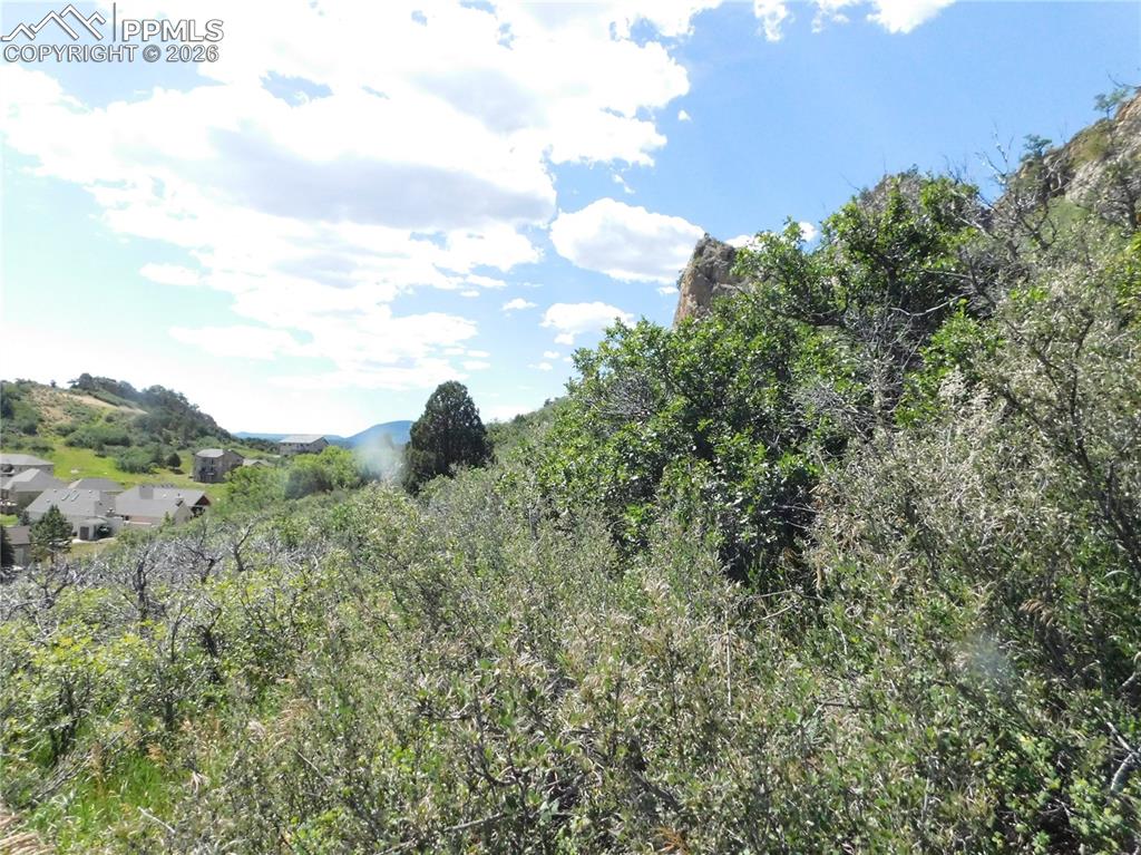 Image 25 of 45: No Description Available