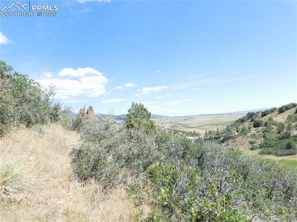 Image 32 of 45: No Description Available