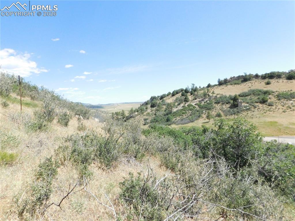 Image 40 of 45: No Description Available