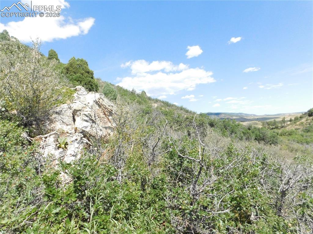 Image 41 of 45: No Description Available