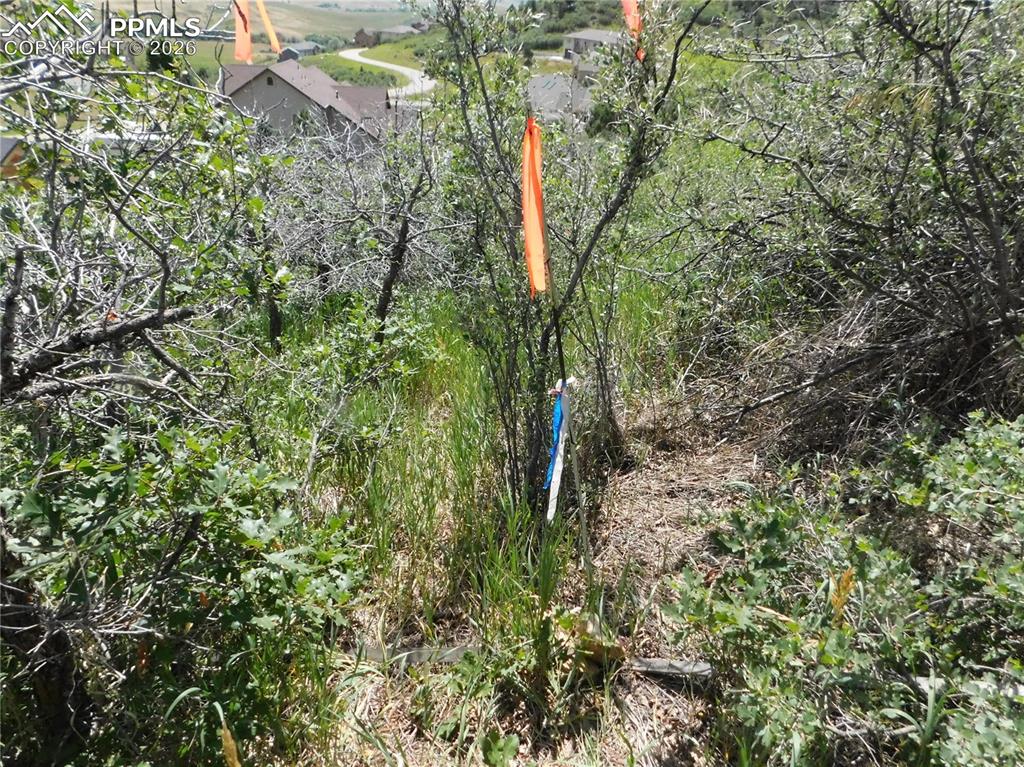 Image 44 of 45: No Description Available