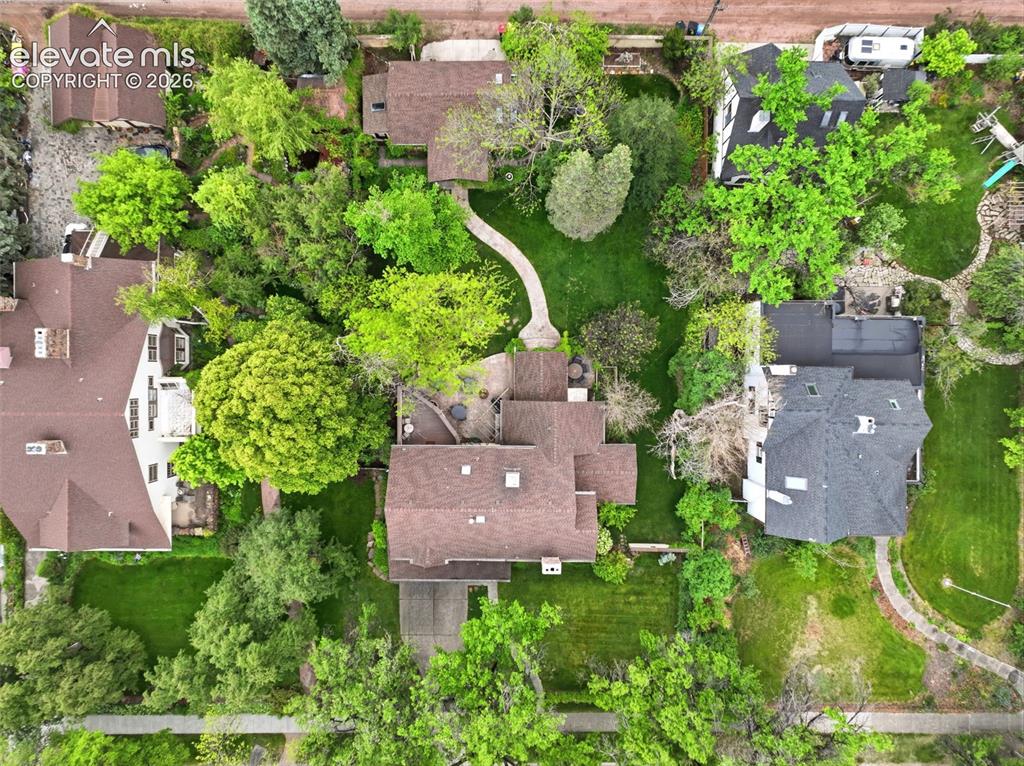 Image 45 of 50: Expansive lot featuring mature trees, concrete driveway, and a winding ston