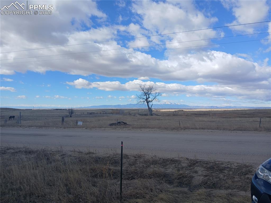 Image 12 of 19: Yard