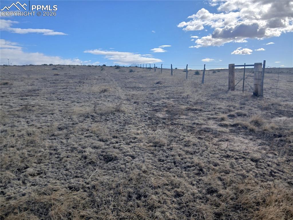 Image 14 of 19: Yard