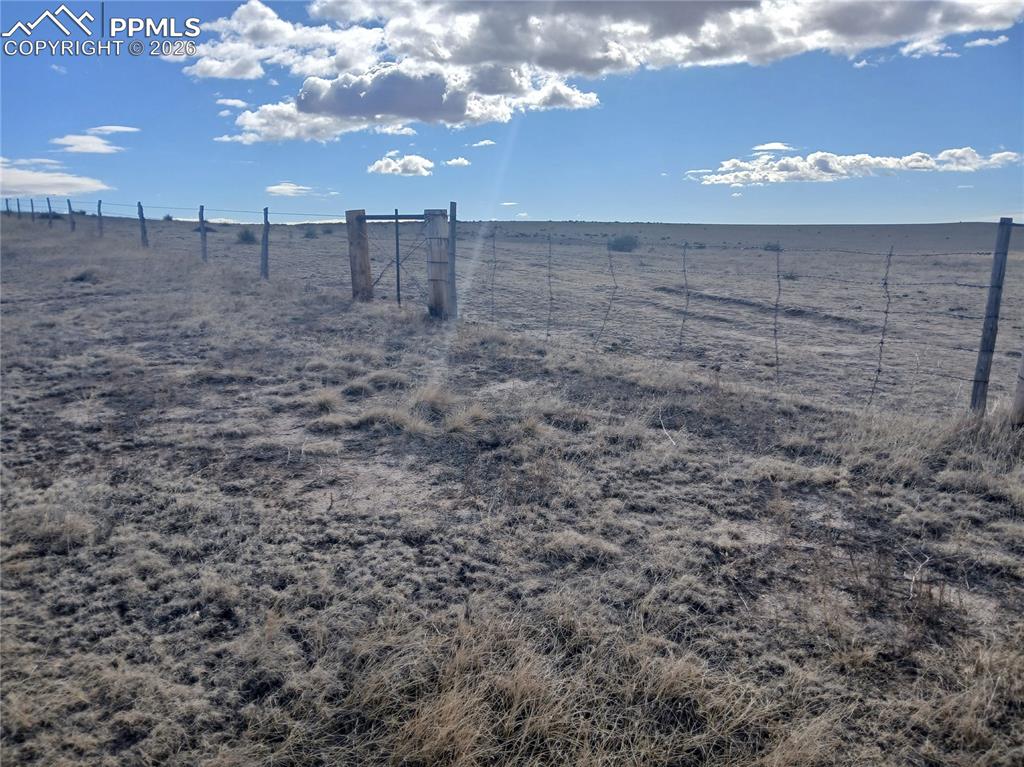 Image 17 of 19: Yard