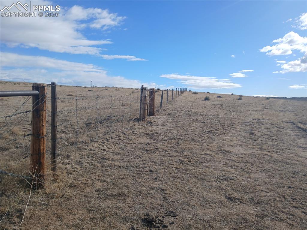 Image 19 of 19: Yard