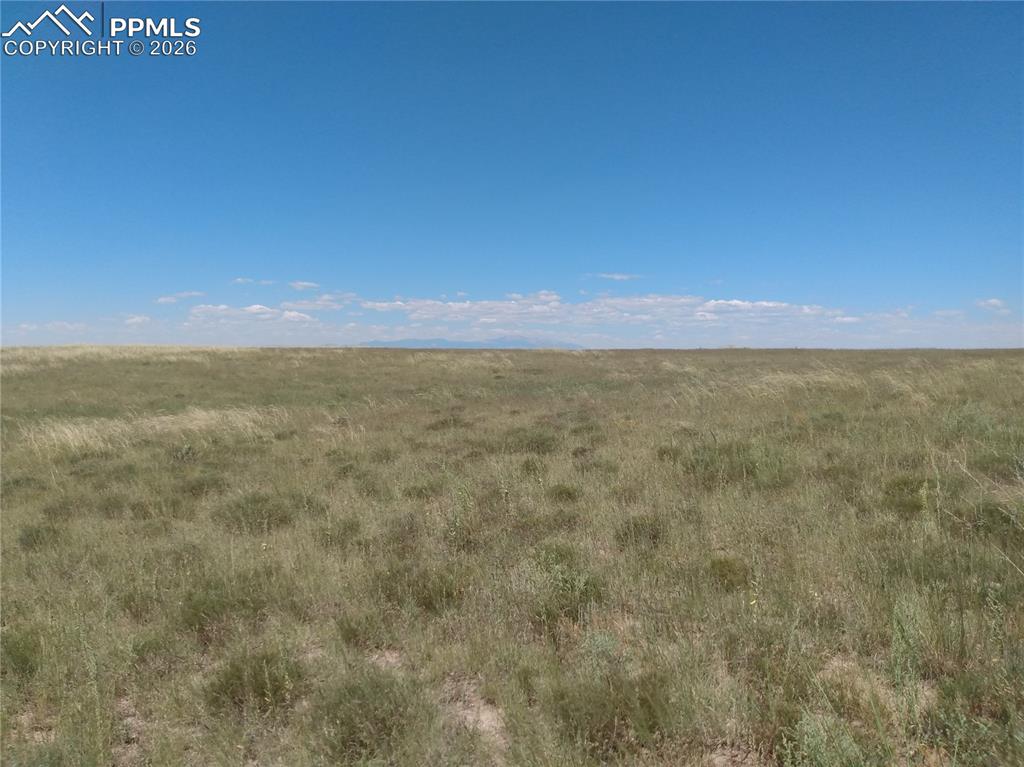 Image 4 of 19: Other