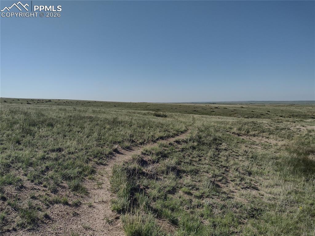 Image 6 of 19: Other