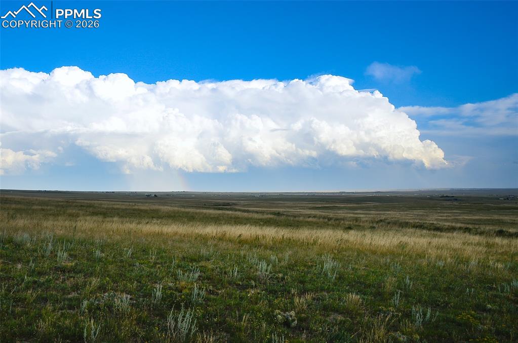 Image 8 of 19: Other