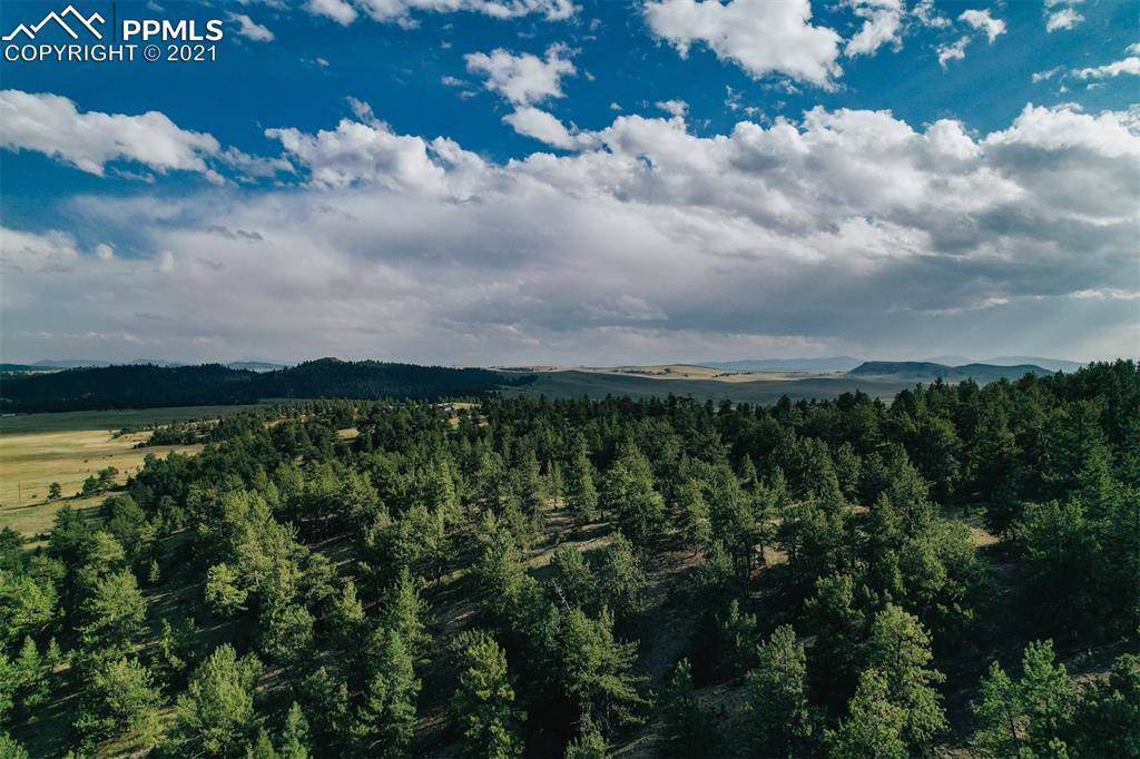 Listing 9518251, Image 10 of 43