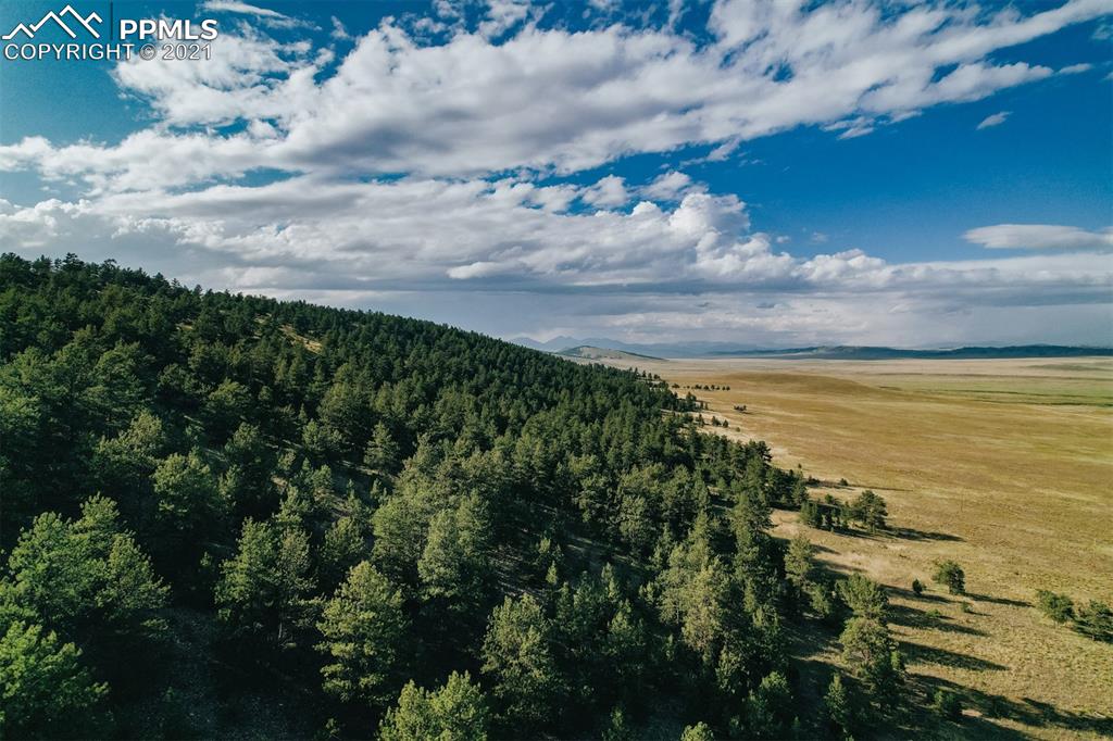 Listing 9518251, Image 33 of 43