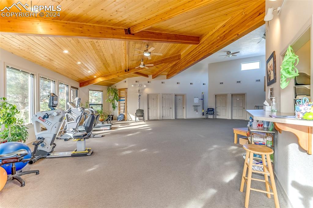 Image 12 of 49: Gym