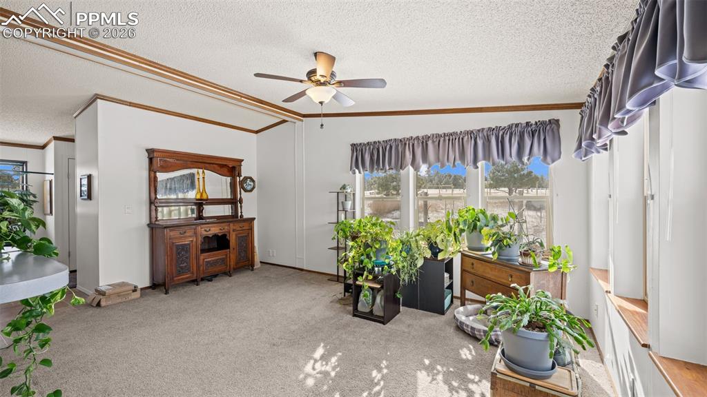 Image 18 of 42: Other