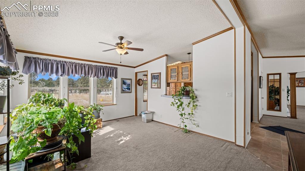 Image 19 of 42: Sun Room