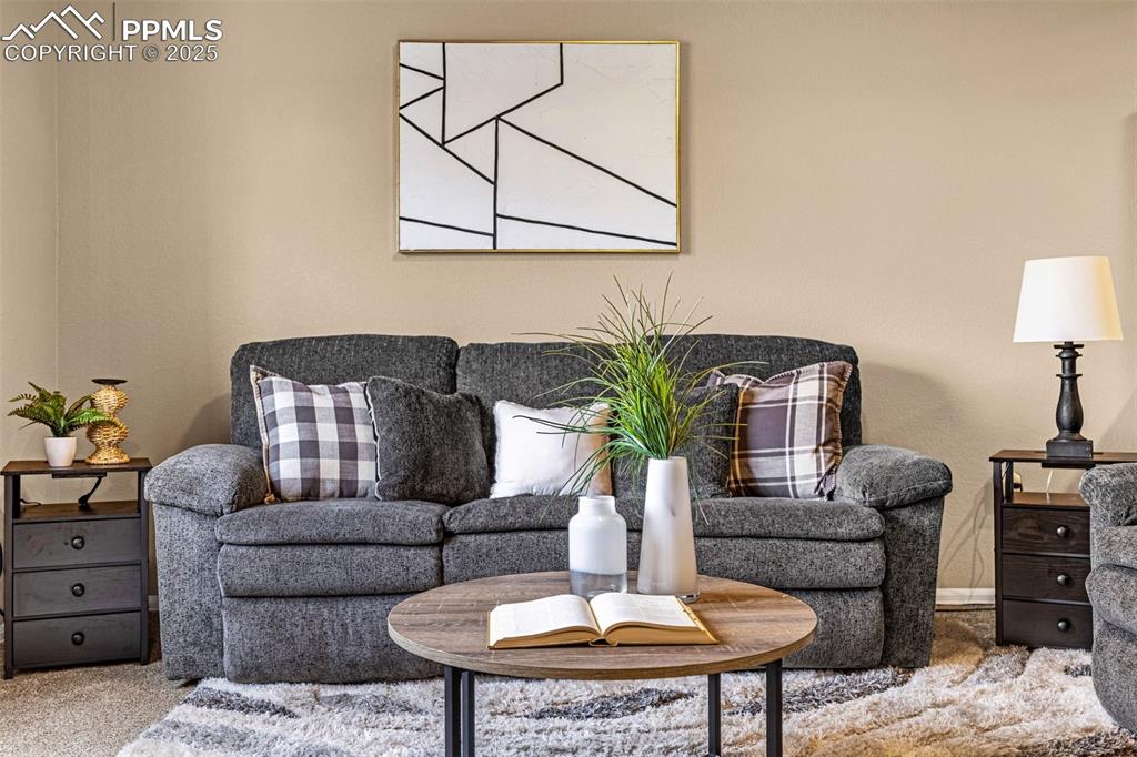 Image 11 of 34: View of carpeted living room