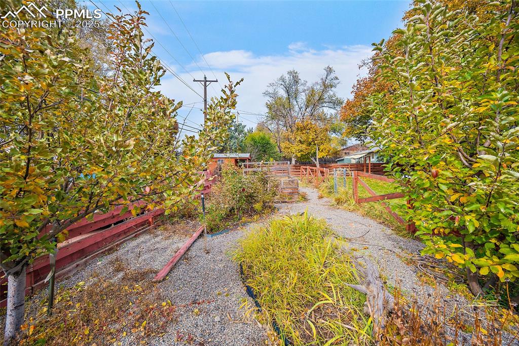 Image 20 of 24: Yard