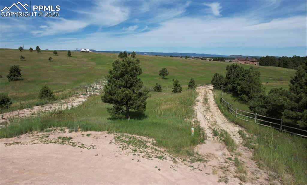 Image 12 of 29: Other