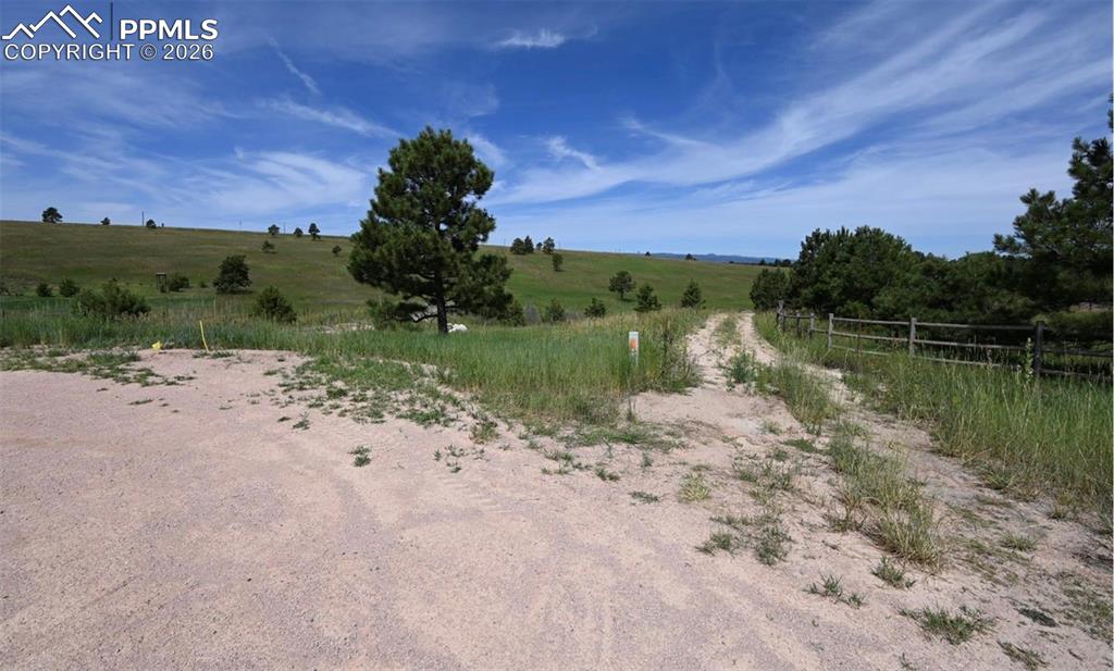 Image 16 of 29: Other