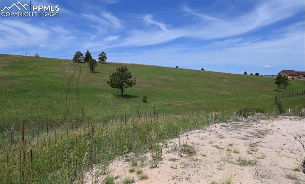 Image 17 of 29: Other