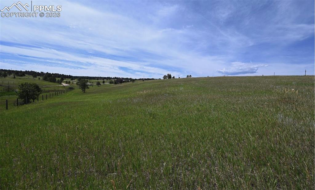 Image 19 of 29: Other