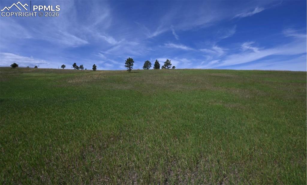 Image 20 of 29: Other