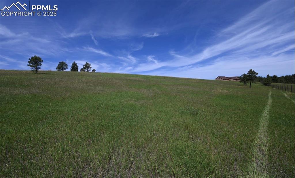 Image 21 of 29: Other