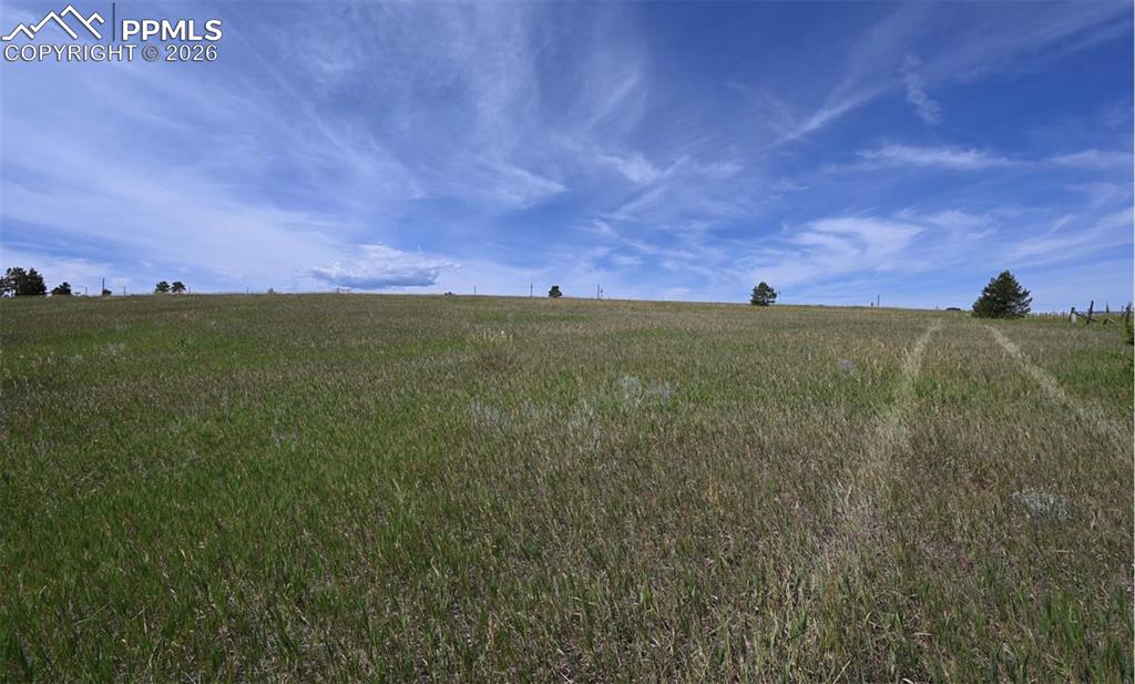 Image 24 of 29: Other