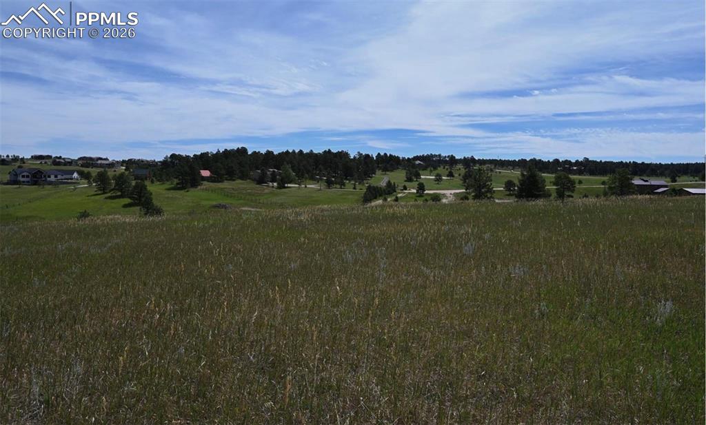 Image 26 of 29: Other