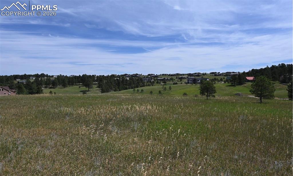 Image 29 of 29: Other