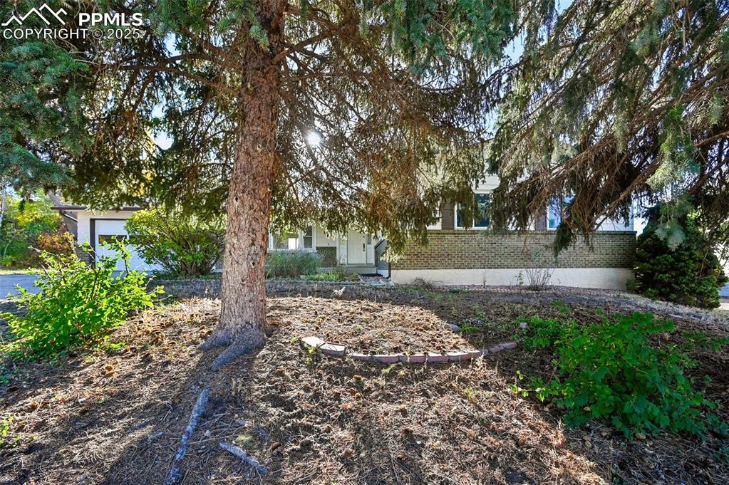 Image 2 of 36: Front of Property with mature trees
