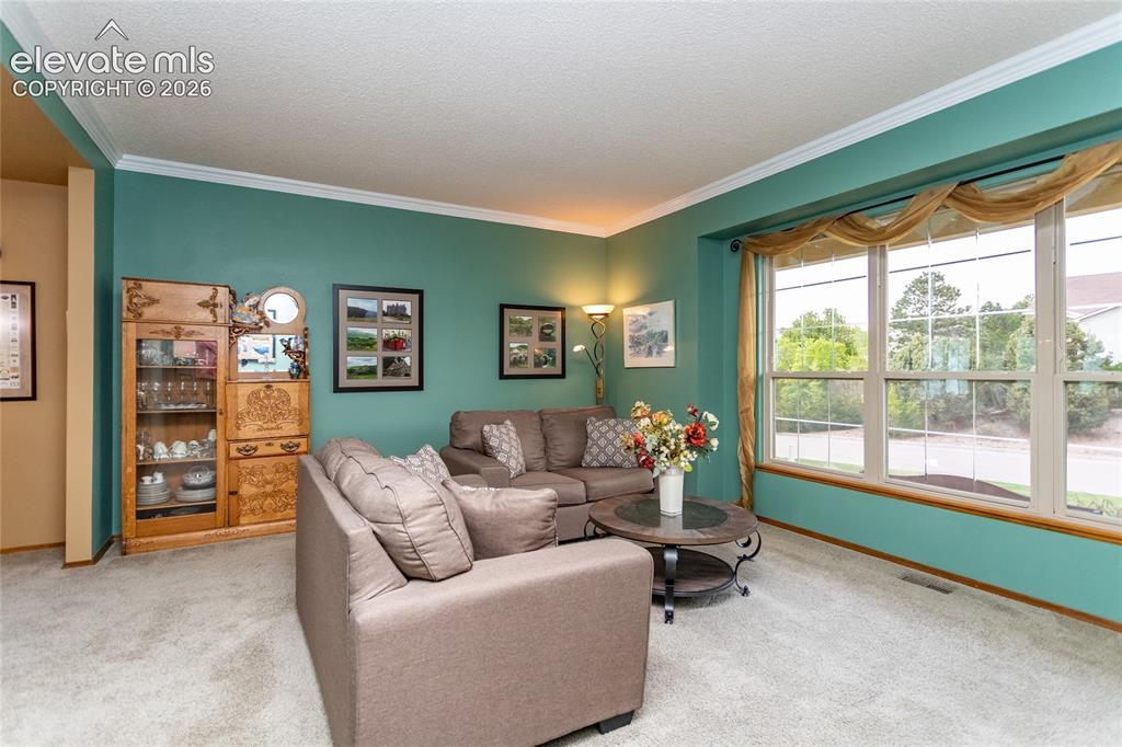 Image 14 of 50: Formal Living Room with North facing Windows and Carpeting
